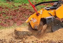 Best Tree Mulching  in Brookdale, CA